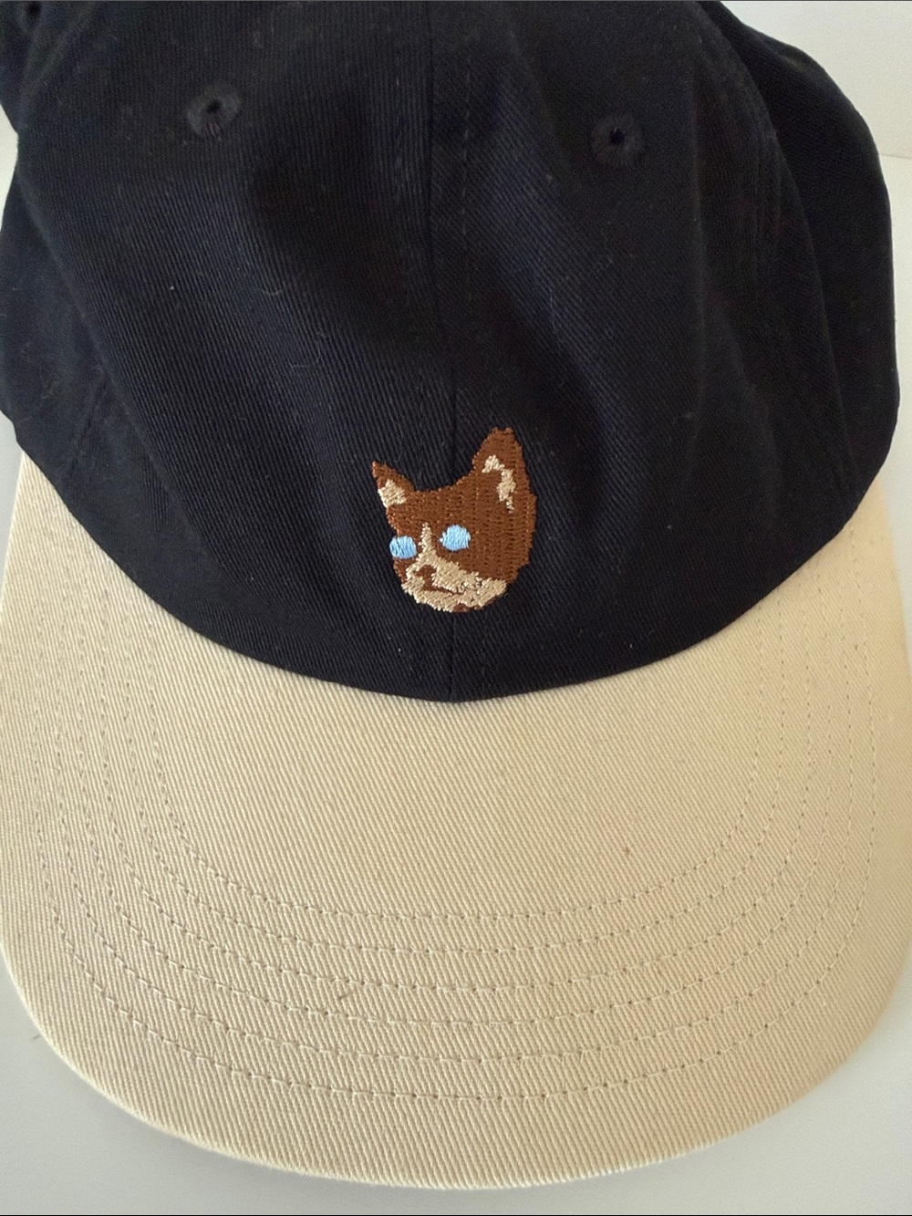 Golf Wang × Streetwear
Golf wang kill cat hat